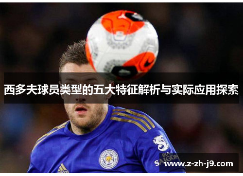 西多夫球员类型的五大特征解析与实际应用探索