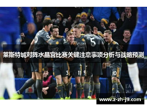莱斯特城对阵水晶宫比赛关键注意事项分析与战略预测