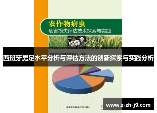 西班牙男足水平分析与评估方法的创新探索与实践分析 西班牙男足水平分析与评估方法的创新探索与实践分析