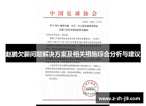 赵鹏欠薪问题解决方案及相关措施综合分析与建议 赵鹏欠薪问题解决方案及相关措施综合分析与建议