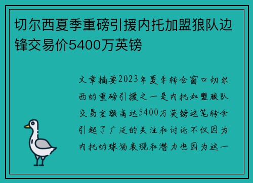 切尔西夏季重磅引援内托加盟狼队边锋交易价5400万英镑